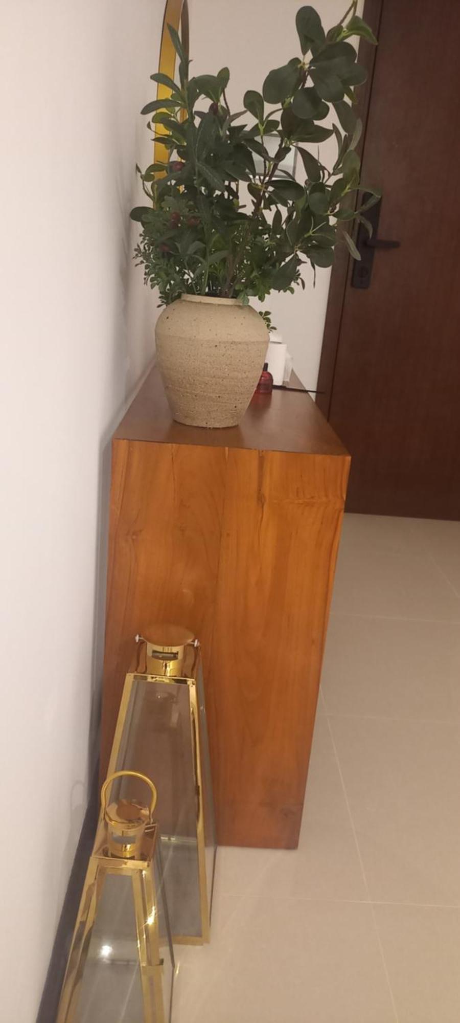 Apartment Trizen Oceanview